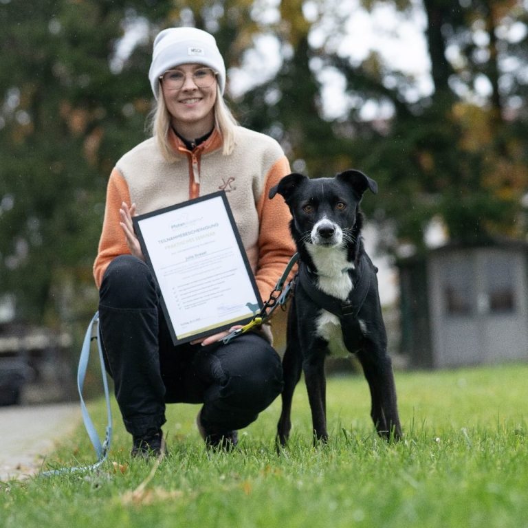 Hundetraining Langenzenn Frau mit Hund hält ein Dokument und sitzt im Gras. Herbstliche Umgebung.