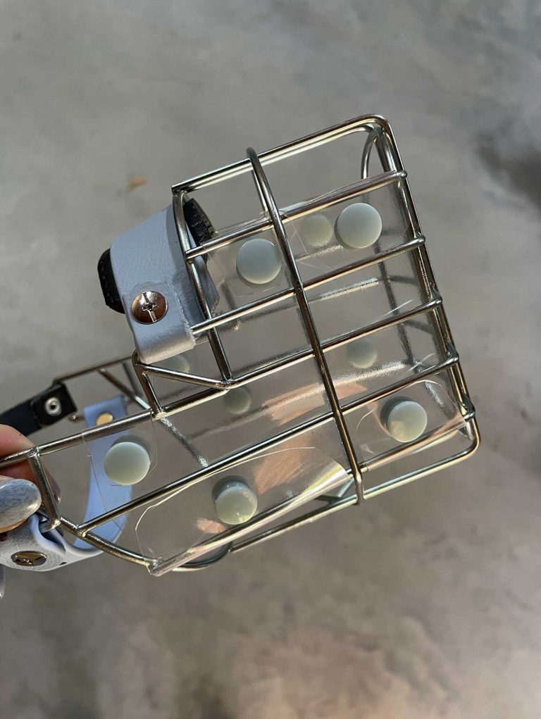 Ein Drahtmaulkorb mit hellblauen Riemen und Nasenpolstern mit deinem durchsichtigen PVC-Folien Fressschutz mit Druckknöpfen