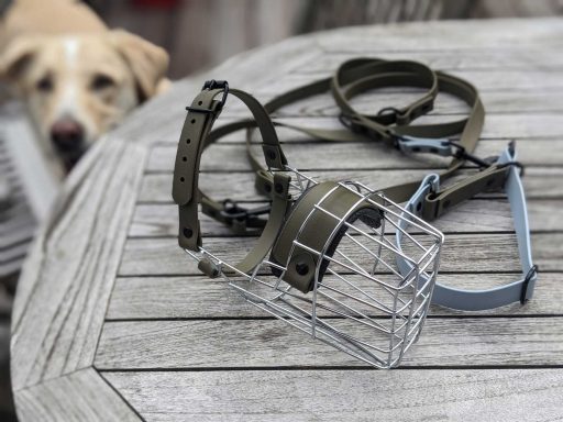 Maulkorbberatung Fürth und Umgebung, Maulkorb-Anpassung, Nürnberg, Langenzenn, Erlangen