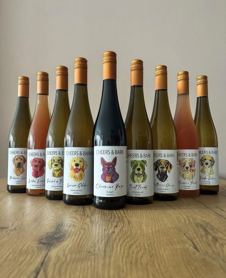 Zehn Weinflaschen mit bunten Etiketten auf einem Holzuntergrund.